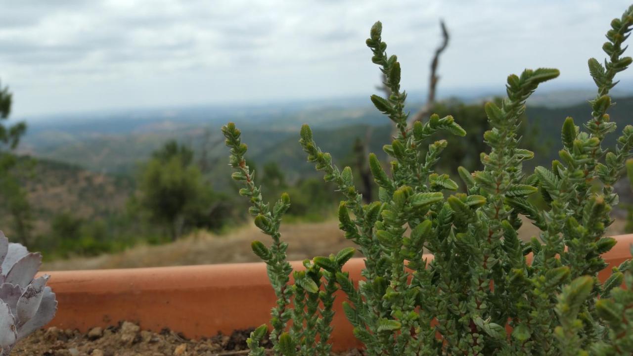 Casa Atman ξενώνας Monchique Εξωτερικό φωτογραφία